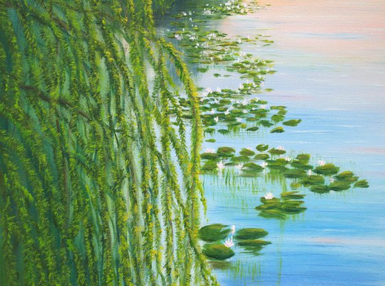 Water lily pond