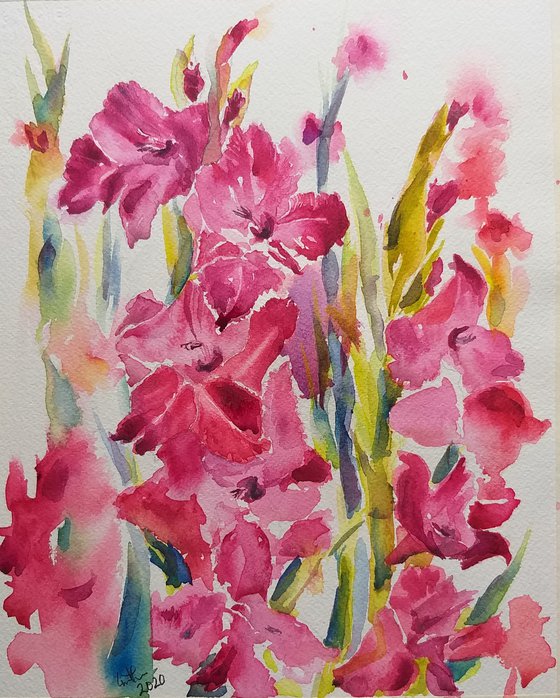 Gladioli flowers watercolor