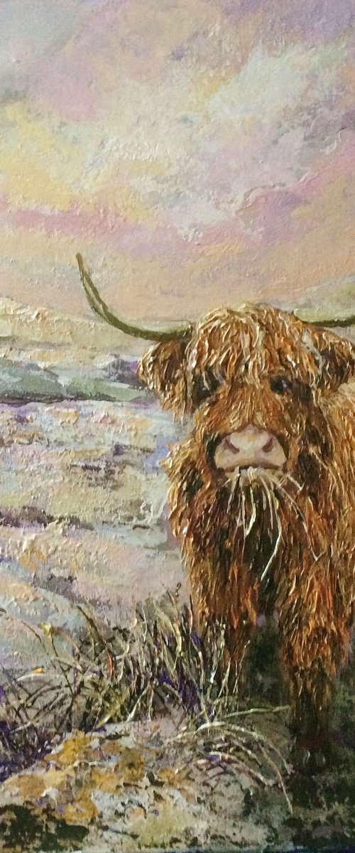 Out in the Cold by Colette Baumback