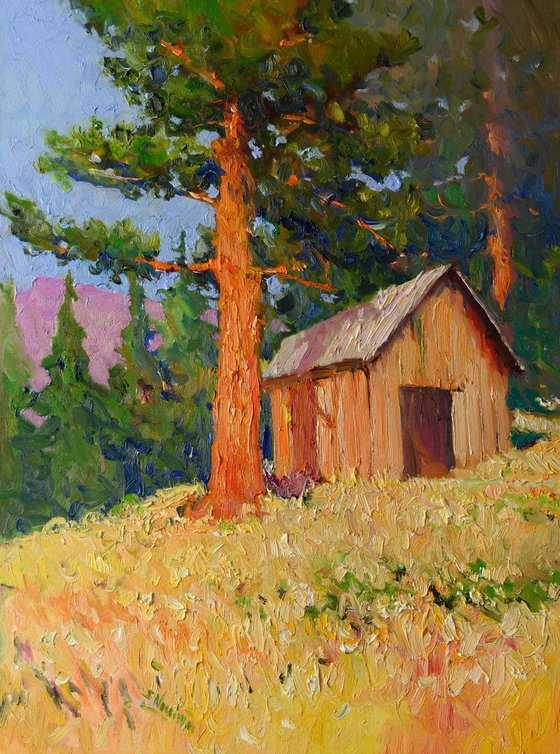 Old Cottage and Sequoia