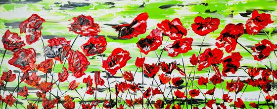 Red Poppies