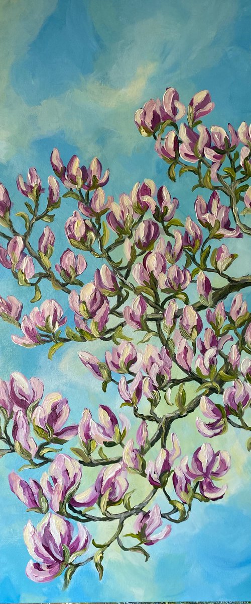 Magnolia in Spring by Colette Baumback