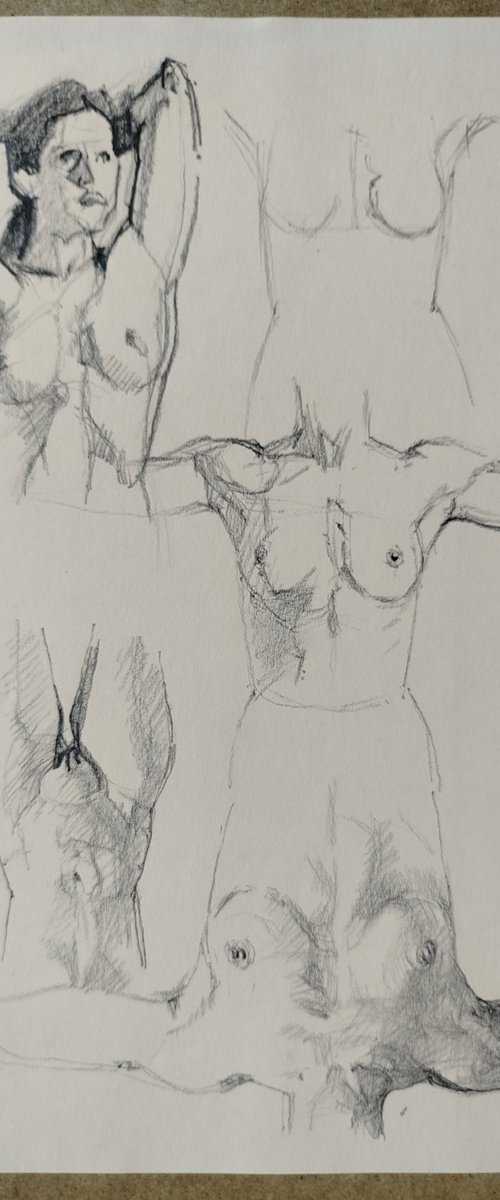 Sketch 11 by Viktoriia Pidvarchan