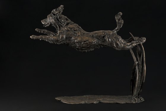 Leaping Spaniel FB