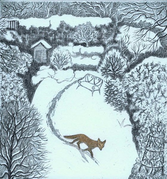 Fox in Snow