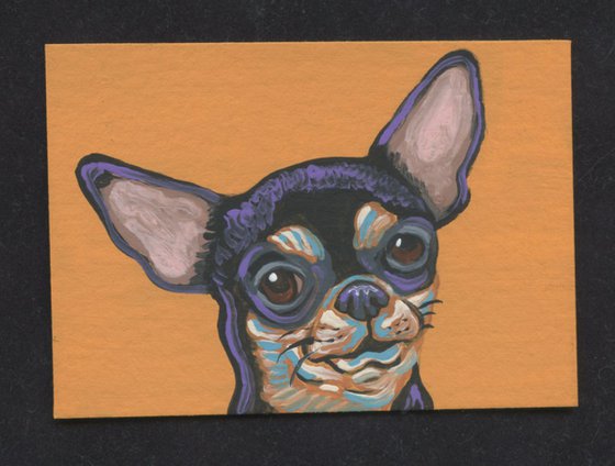 ACEO ATC Original Miniature Painting Colorful Chihuahua  Pet Dog Art-Carla Smale