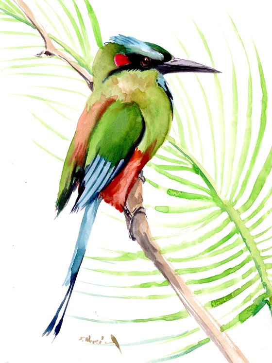 Motmot Bird artwork