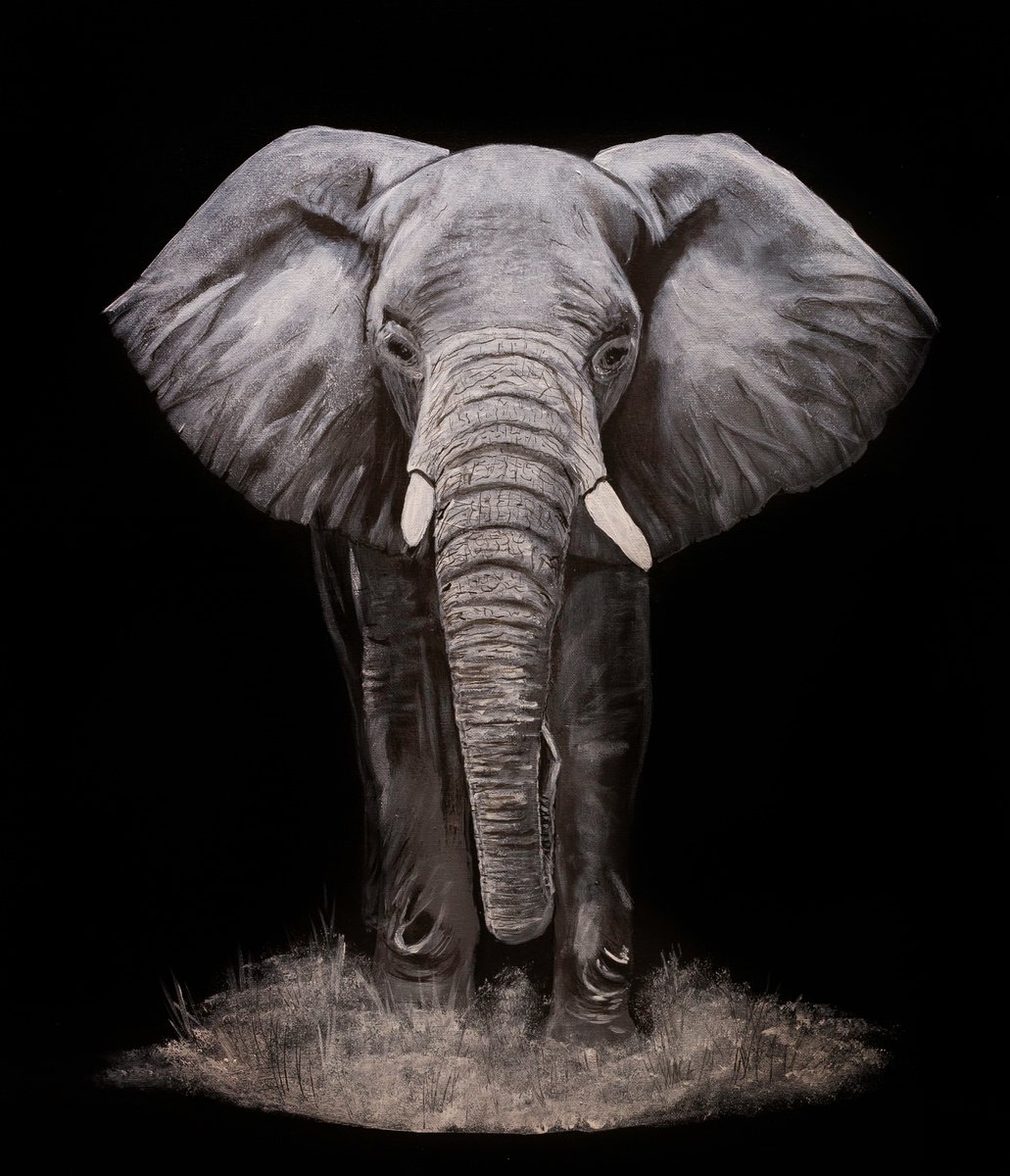 Elephant by Margarita Telianidis