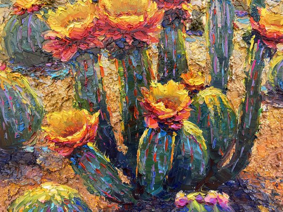 "Flowering Canyon cacti "