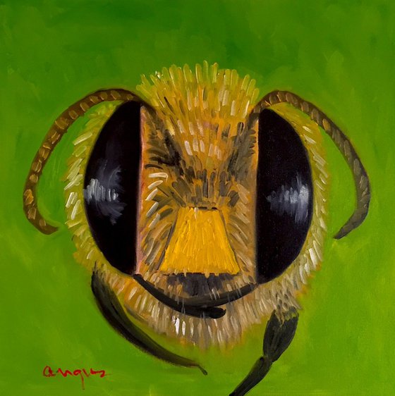 Portrait of a Honey Bee