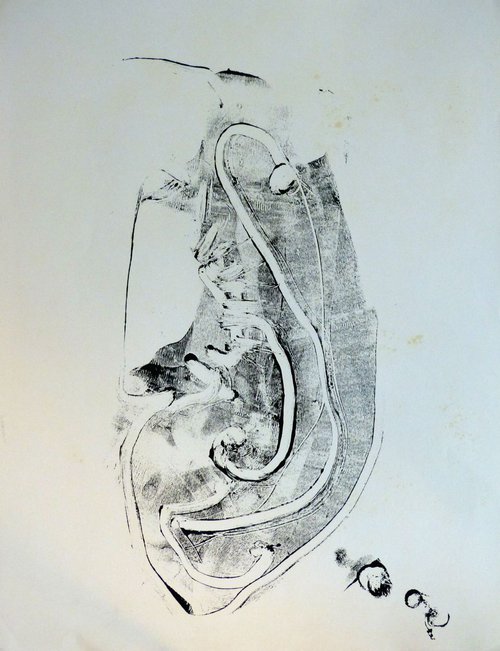Monotype/ monoprint #10, 65x50 cm by Frederic Belaubre