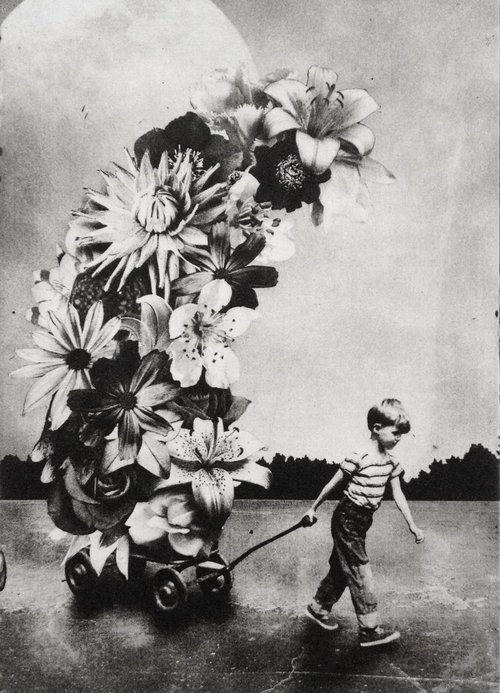 The Boy and The Flowers by Jaco Putker