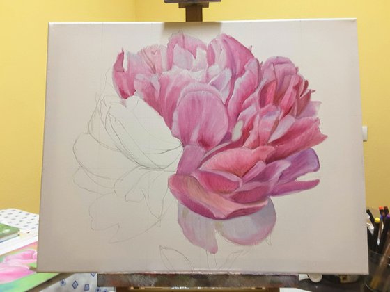 Peony n.2