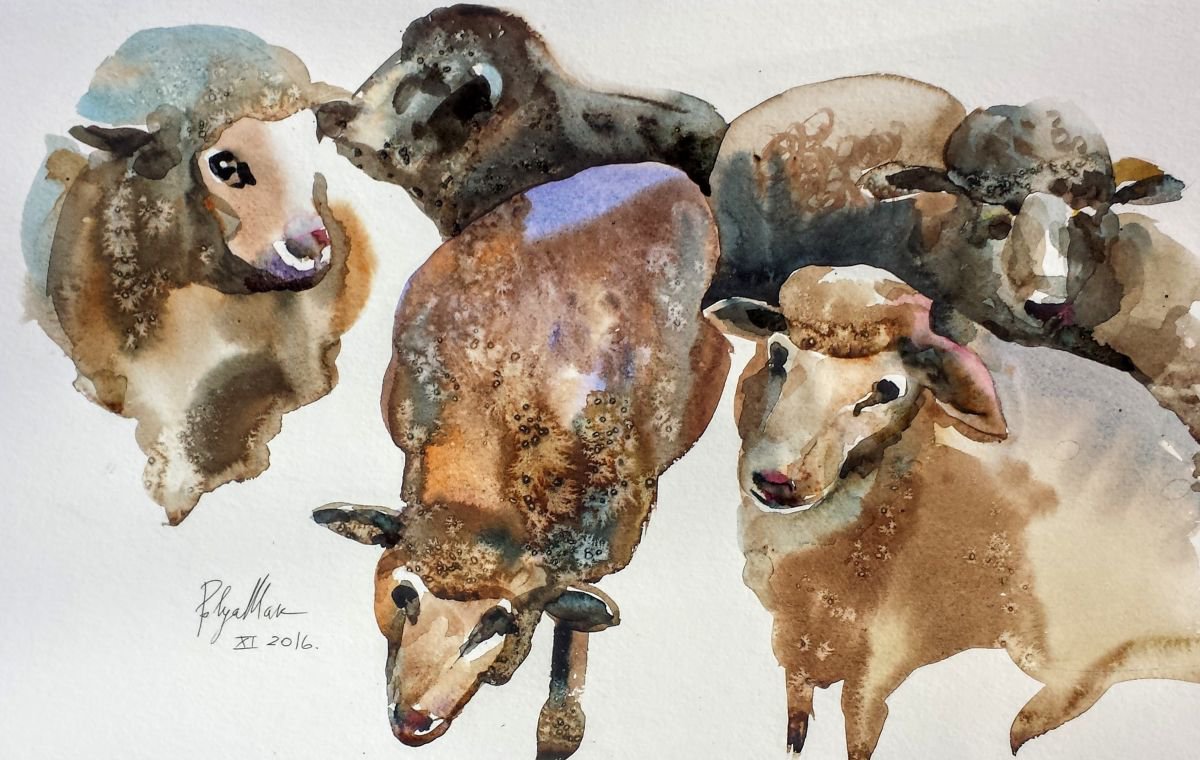 Sheep 5 by Polina Morgan