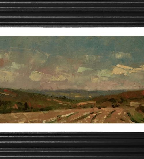 Landscape near Goodwood by Andre Pallat