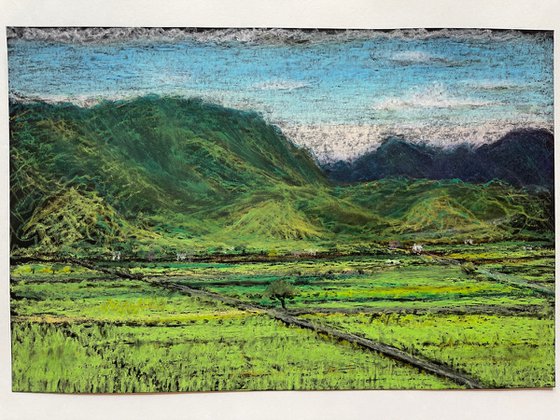 Chihshang Ricefields 2, Taitung