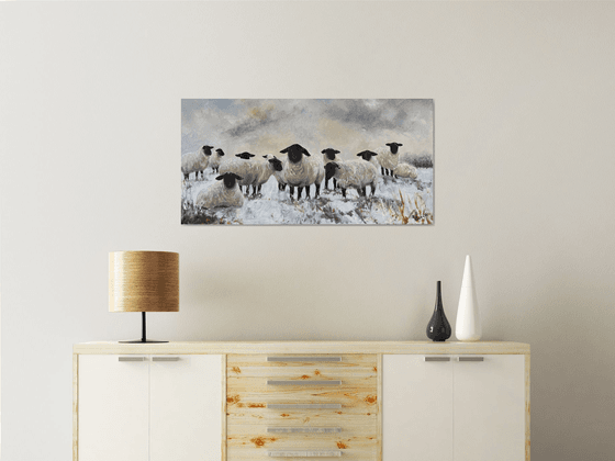Black Face Sheep Winter