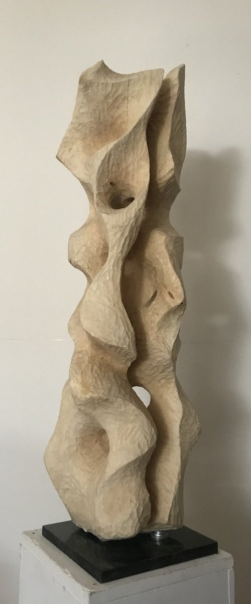 Betula by Michael Rofka