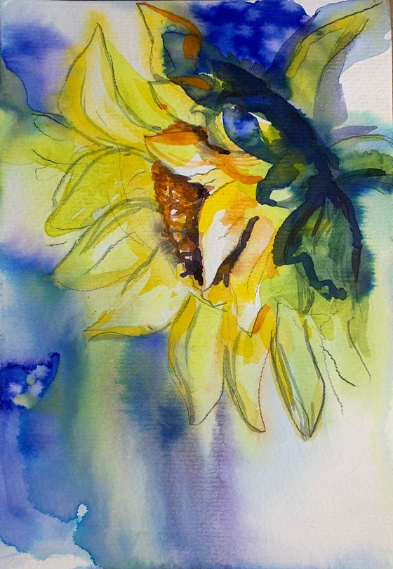 Sunflower