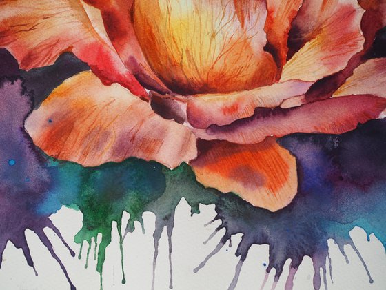 Emotional rose - original watercolor flower and splashes