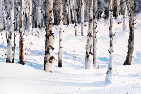 Cover image for Winter landscapes collection