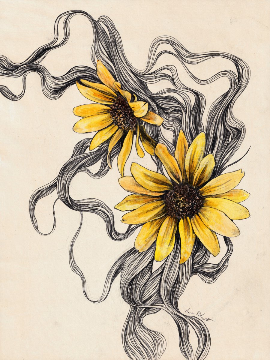 Floral Series: Small Sunflowers | yellow flowers illustration by Marco Paludet