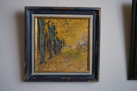 Golden maples in the park