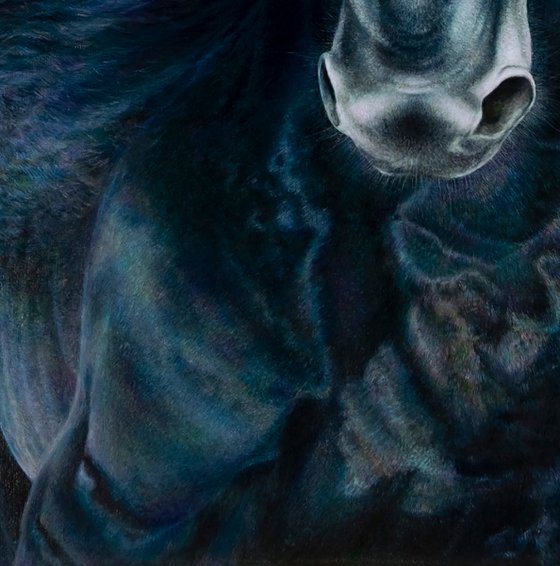 Black Eclipse. The Horse.