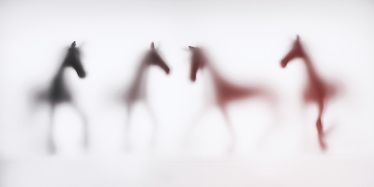 Abstract Animal Photograph By Sven Pfrommer, 55 X 28", Wild Lens - Horses Vii, Original Artwork