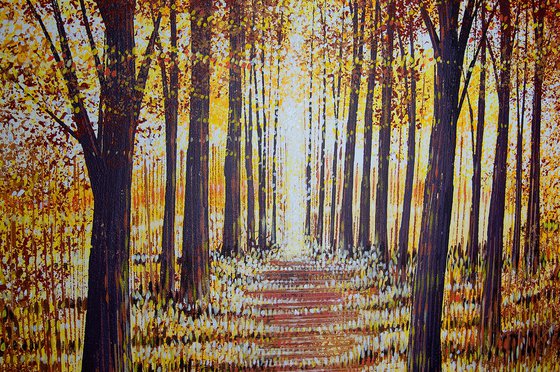 Light Through Autumn Trees