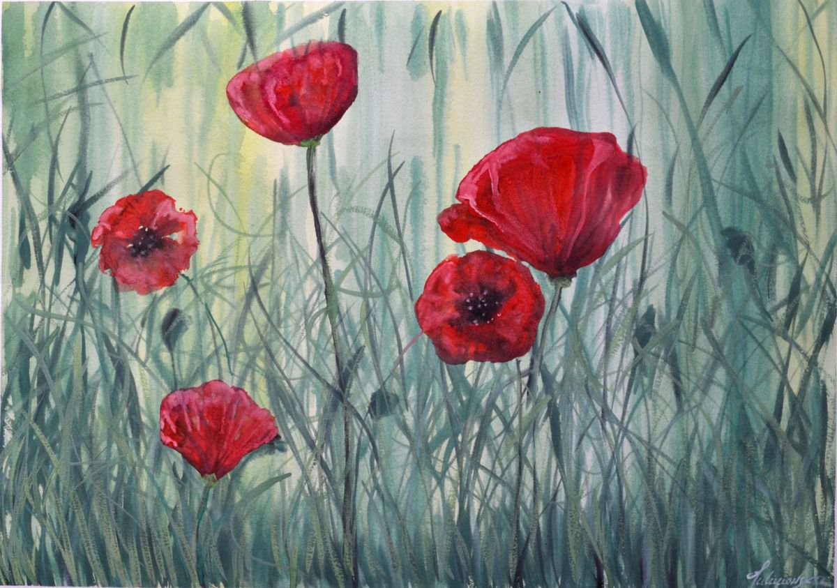 Poppys - Large 60 x 42 cm ( A2 ) by Maja Tulimowska - Chmielewska