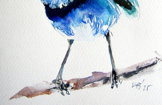 Little blue bird