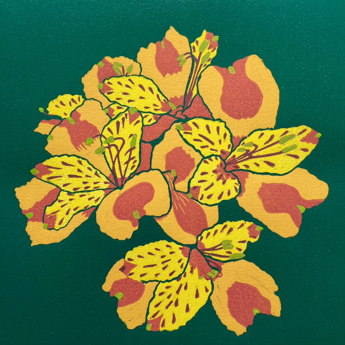 Illustrative Botanical Linocut By Nathalie Pymm Art, 12 X 12", Peruvian Lilly, Original Artwork