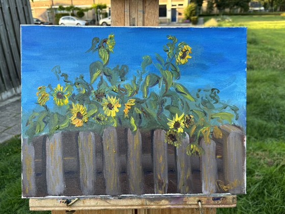 Sunflowers over de fence