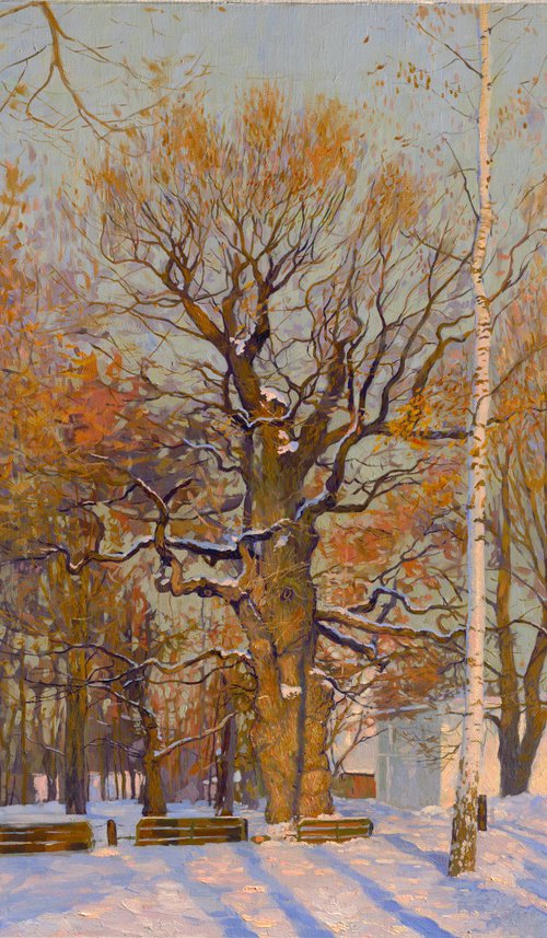 Old Oak-tree in Kolomenskoye by Simon Kozhin