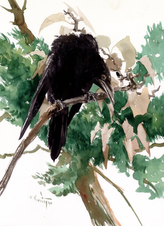 The Crow in the Woods