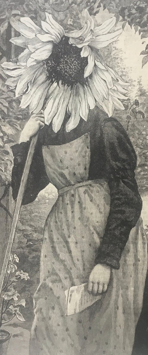 Frances Gardener by Tudor Evans