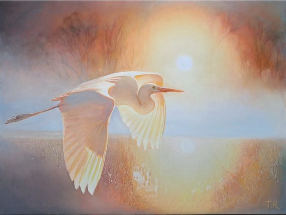 FLY INTO THE SUNRISE