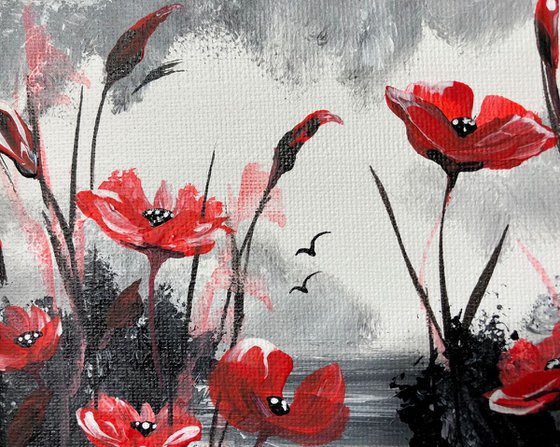 Red Poppies in a black frame