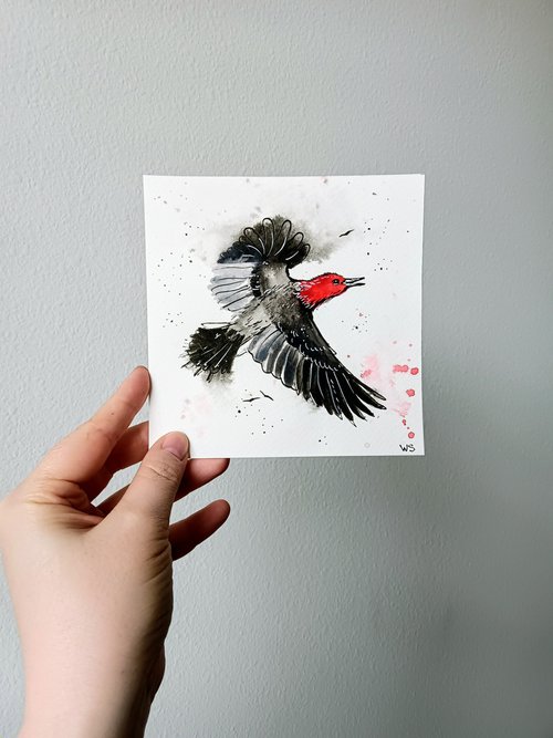 Red-headed woodpecker #1 by Svetlana Wittmann