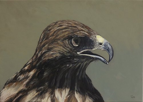 Golden Eagle by Tom Clay