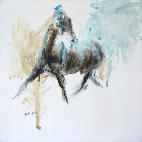 Equine Nude 78t