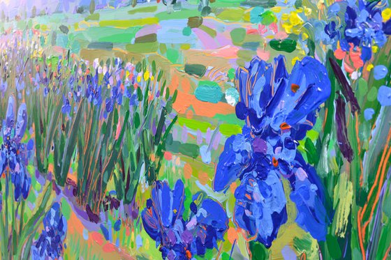 Irises Landscape