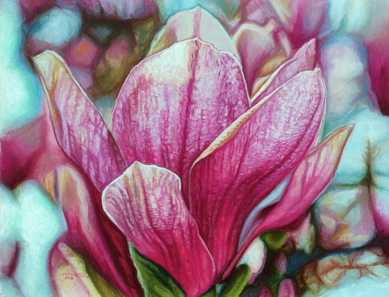 Original Pink Magnolia Flower Drawing | Luminous Magnolia Grandiflora | Romantic Floral Home Decor | Soft Pastels Art