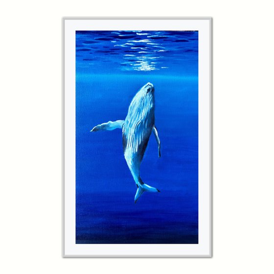 Whale in blue ocean