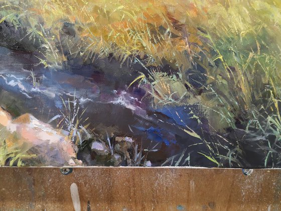 Late autumn marshes