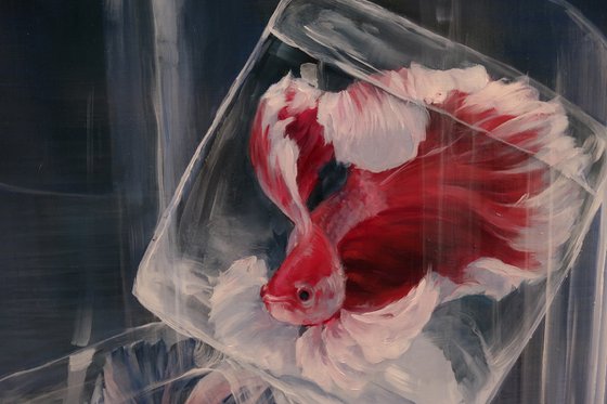 "Captive of Beauty"