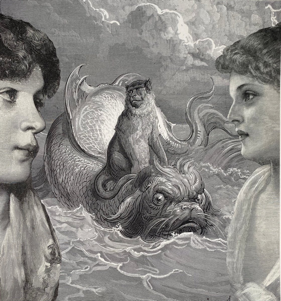 Surrealistic Portrait Collage By Tudor Evans, 8 X 9", Monkey, Original Artwork