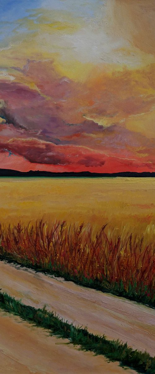 Golden Fields by Jo Earl