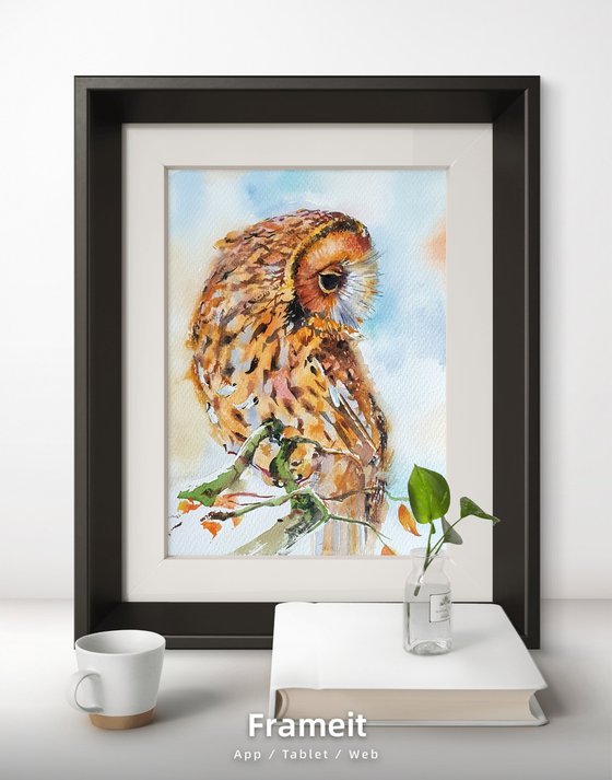 Autumn guardean ( watercolour Owl )